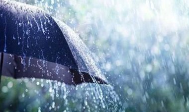 বর্ষাকালে রোগবালাই থেকে বাঁচার উপায়  