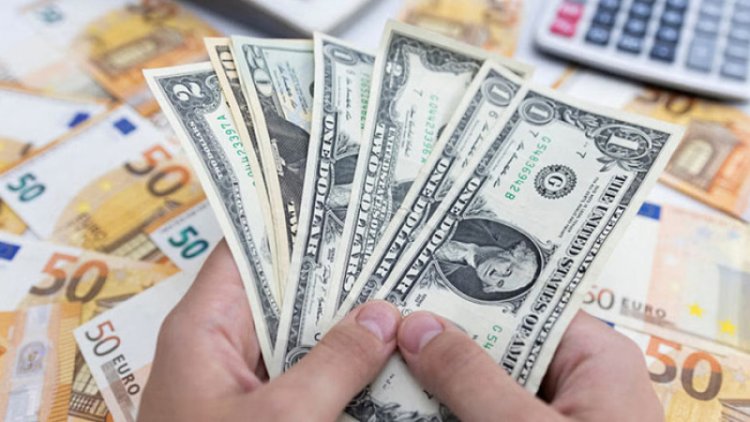 আ.লীগের পতনের পর রেমিট্যান্স প্রবাহ বেড়েছে