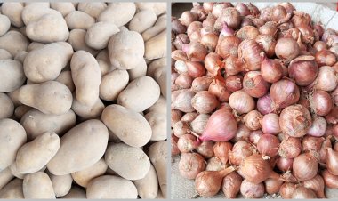 দাম কমাতে আলু ও পেঁয়াজের শুল্ক-কর কমানোর উদ্যোগ