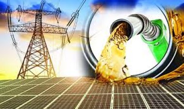 জ্বালানির অভাব, সরবরাহ ব্যবস্থায় বিঘ্ন ঘটলে তাৎক্ষণিক বিকল্প নেই বিপিডিবির