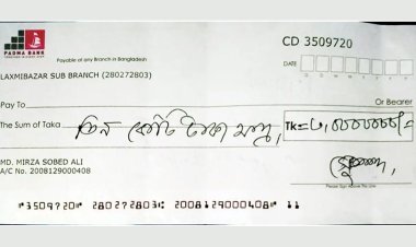 ‘তিন কোটি টাকার ক্যাশ চেক দিয়ে ডিসির পদায়ন’ খতিয়ে দেখতে কমিটি