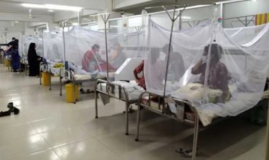 ডেঙ্গুতে ৩ জনের মৃত্যু, হাসপাতালে ভর্তি ৮০১