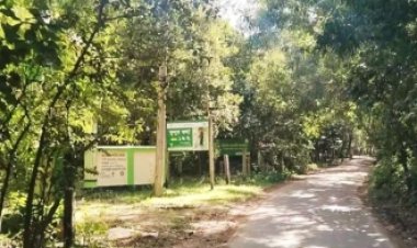 টেকনাফের সড়কে ডাকাতি, ৪ যাত্রী অপহরণ