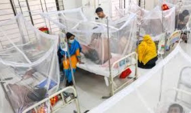 ডেঙ্গুতে একদিনে ৭ জনের মৃত্যু, নতুন রোগী ৮৬০