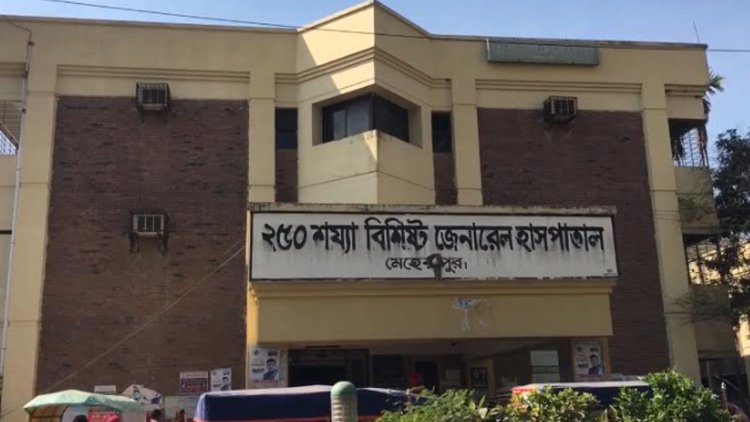 মেহেরপুরে বাড়ছে ডেঙ্গু, দেড়মাসে চিকিৎসা নিয়েছেন ৩৫০ রোগী