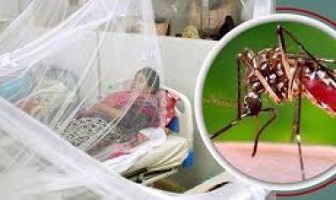 ডেঙ্গুতে ২৪ ঘণ্টায় ৮ মৃত্যু