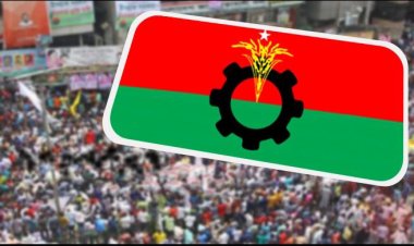 ঢাকা মহানগর উত্তর বিএনপিতে শিগগিরই নতুন কমিটি, আলোচনায় যারা