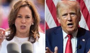 যুক্তরাষ্ট্র নির্বাচন-২০২৪: যে সাতটি গুরুত্বপূর্ণ রাজ্যে আধিপত্য বিস্তারের লড়াইয়ে কমালা ও ট্রাম্প