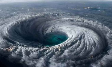 ‘দানা’ নিয়ে ভয়ংকর তথ্য