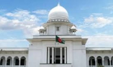 অন্তর্বর্তী সরকারকে ‘বিপ্লবী সরকার’ ঘোষণার নির্দেশনা চেয়ে রিট