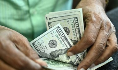  চলতি অর্থবছরে এক বিলিয়ন ডলার বিক্রি