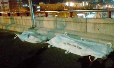  নিয়ন্ত্রণ হারিয়ে মোটরসাইকেল থেকে ছিটকে পড়ে দুই যুবক নিহত