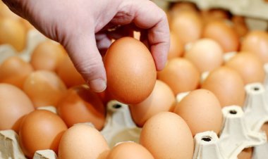 রোববার থেকে রাজধানীর ১৩ স্থানে কম দামে মিলবে ডিম
