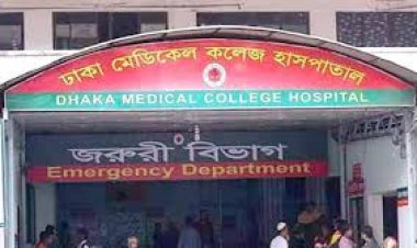 ফ্যানে ঝুলছিল স্বামী, জানালায় স্ত্রী