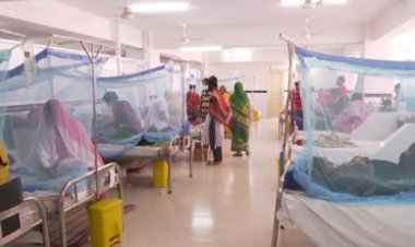 ২৪ ঘণ্টায় ৮ জনের মৃত্যু, হাসপাতালে ভর্তি ১,১৩৪