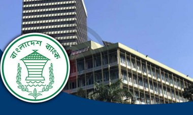 লভ্যাংশ দিতে পারবে না মূলধন ঘাটতিতে থাকা ব্যাংক