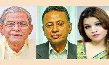 মার্কিন রাষ্ট্রদূতের সঙ্গে মির্জা ফখরুলের সাক্ষাৎ