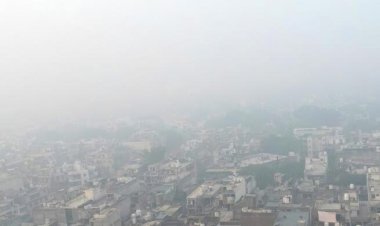 ঘন কুয়াশায় বিমান ওঠানামায় বিঘ্ন