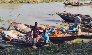 ইলিশের আকাল, দুঃশ্চিন্তায় মেঘনা-তেতুঁলিয়ার জেলেরা