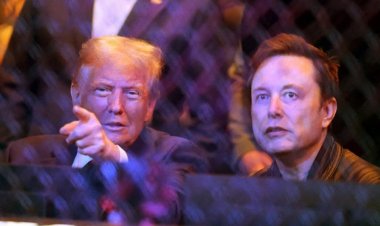 ট্রাম্প নির্বাচনে জেতার পর রকেটগতিতে বাড়ছে ইলন মাস্কের সম্পদ