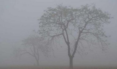  ৩ জেলায় মৃদু শৈত্যপ্রবাহ