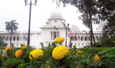  আদেশ জালিয়াতি করে ইটভাটা সচল, ছাড় পাবে না জড়িতরা