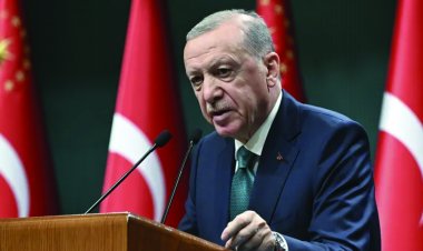 সিরিয়ার নতুন সরকারকে সামরিক সহায়তা দেবে তুরস্ক