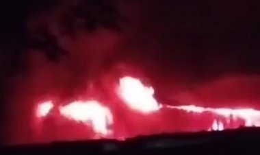  নারায়ণগঞ্জে স্পিনিং মিলের গোডাউনে আগুন, সব পুড়ে ছাই