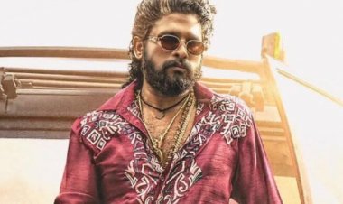 বিশ্বজুড়ে কত আয় করেছে ‘পুষ্পা-২’