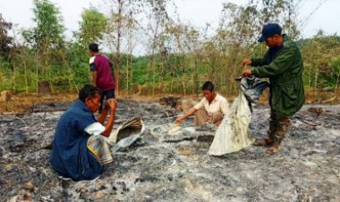 বান্দরবানে অগ্নিসংযোগের ঘটনায় ড. ইউনূসের নিন্দা