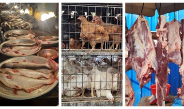 বেড়েছে ব্রয়লারের দাম, অস্বস্তি মাছের বাজারেও