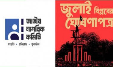 ৩১ ডিসেম্বর আসছে জুলাই বিপ্লবের ঘোষণা
