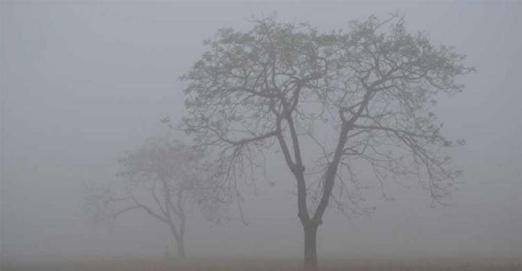  ৩ জেলায় মৃদু শৈত্যপ্রবাহ