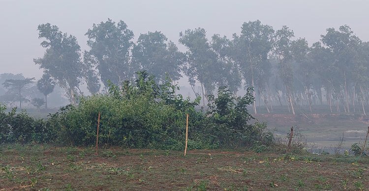  পঞ্চগড়ে ফের ৯ এর নিচে তাপমাত্রার পারদ