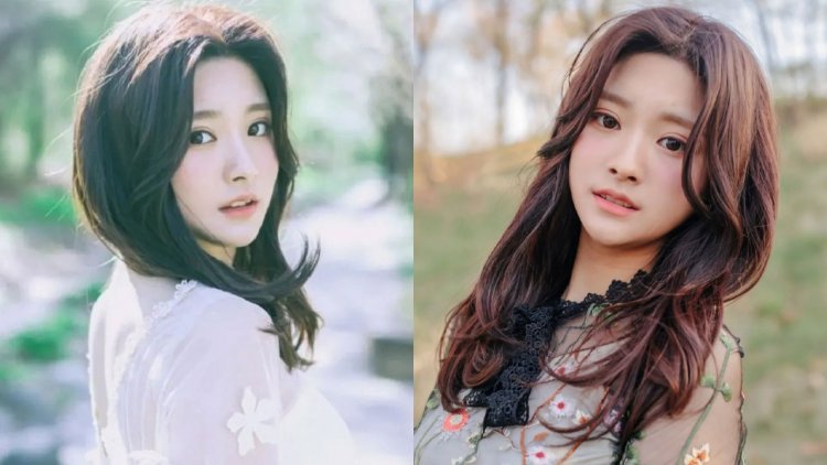 পপ তারকা থেকে নীলছবির নায়িকা, আয় করেছেন কোটি টাকা