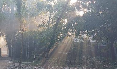  তিন দিন ধরে শৈত্যপ্রবাহের কবলে পঞ্চগড়