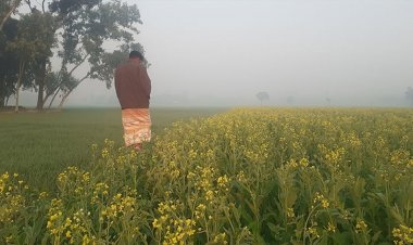 যেসব বিভাগে বৃষ্টি হতে পারে আজ