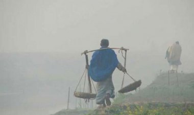 দেশের সর্বত্র তীব্র শীত, ১০ জেলায় শৈত্যপ্রবাহ