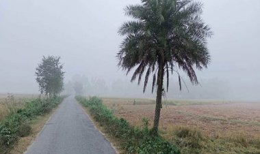 দিনে তাপমাত্রা কমে বাড়বে শীত