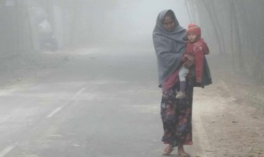 দুই জেলায় বইছে শৈত্যপ্রবাহ
