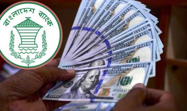 ২৫ দিনে রেমিট্যান্স এলো ১৬৭ কোটি ৫৯ লাখ ডলার