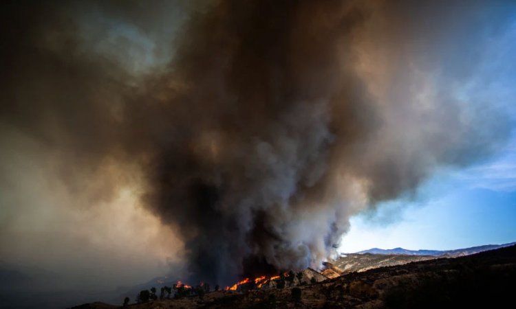 লস অ্যাঞ্জেলেসের সর্বশেষ দাবানলের কিছুটা অগ্রগতি