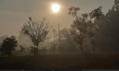 দুদিন পর থেকে আরও কমবে তাপমাত্রা 