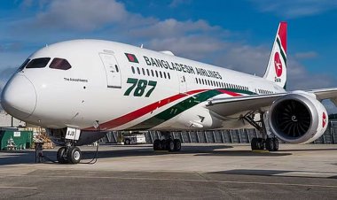 যাত্রীবাহী বিমানের রঙ সব সময়ই কেন সাদা হয়?