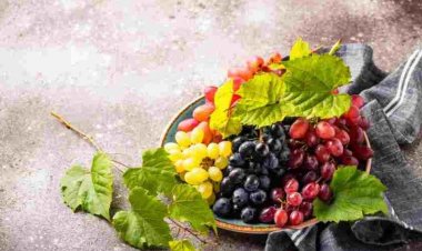 কোন রঙের আঙুরে পুষ্টি বেশি? কারা কোনটি খাবেন?