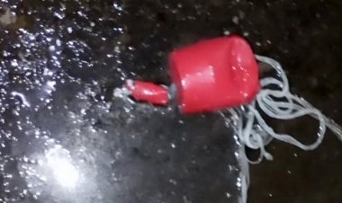 দিনাজপুরে বিএনপির মিছিলে ককটেল বিস্ফোরণ, আহত ৩