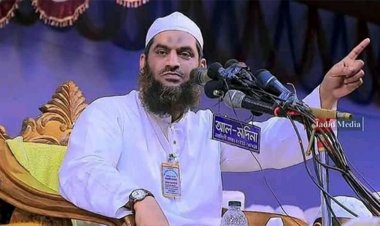 তসলিমা নাসরিনকে যে সতর্কবার্তা দিলেন মামুনুল হক