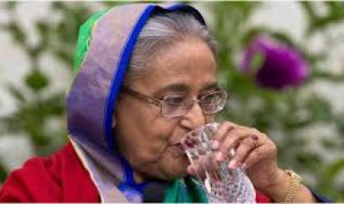 হাসিনাকে প্রধান আসামি করে ট্রাইব্যুনালে অভিযোগ বিএনপির