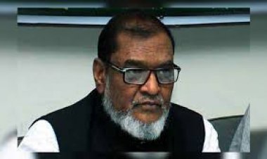 মোজাম্মেল ও তার সনদ নিয়ে যা বললেন মুক্তিযোদ্ধার