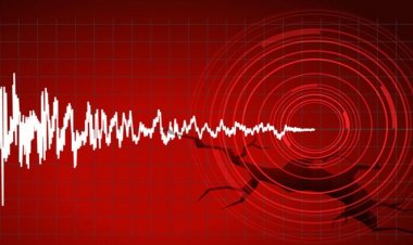 রাজধানীসহ দেশের বিভিন্ন স্থানে ভূমিকম্প